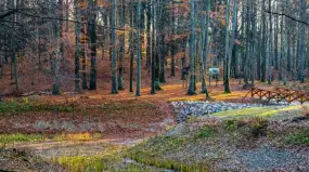 Na Mazury i do lasu. Startuje akcja „Leśne Czwartki”