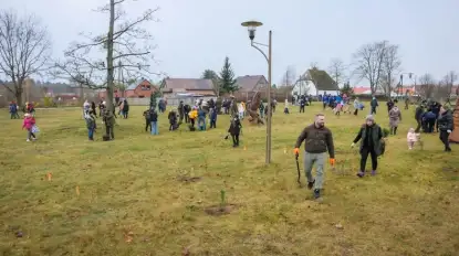 300 drzew na 300-lecie nadania praw miejskich Orzyszowi