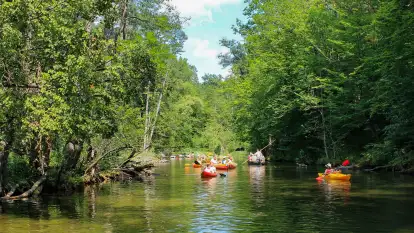 Spływy Kajakowe As-TOUR - zdjęcie 11