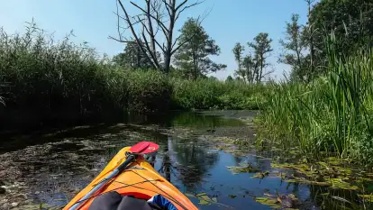 Spływy Kajakowe Wodniak - zdjęcie 9