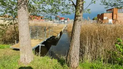 Pomosty Pływające - Majster Warmiński - zdjęcie 16