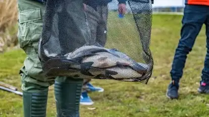 Łowisko Sterławki - zdjęcie 41