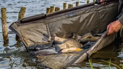 Łowisko Sterławki - zdjęcie 9