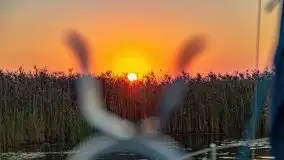 Wrześniowy wschód słońca w Wilkasach - porty AZS i PTTK Wilkasy - zdjęcie 24