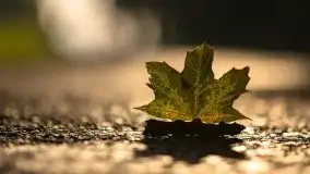 Zachód słońca nad jeziorem Dobskim, wrzesień 2021 r. - zdjęcie 7