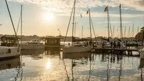 Port Sztynort na początku października 2021 r. - zdjęcie 16