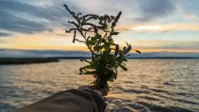 Zachód słońca w Pierkunowie, wrzesień 2021 r. - zdjęcie 23