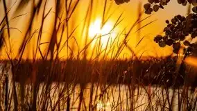 Zachód słońca, Giżycko, jezioro Niegocin, październik 2021 r. - zdjęcie 7