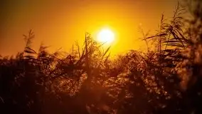 Zachód słońca, Giżycko, jezioro Niegocin, październik 2021 r. - zdjęcie 4