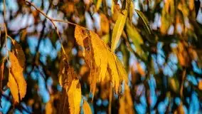 Zachód słońca, Giżycko, jezioro Niegocin, październik 2021 r. - zdjęcie 15