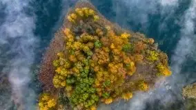 Październikowy wschód słońca, mgły i szron - zdjęcie 8