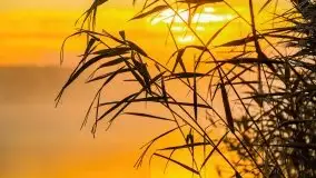 Październikowy wschód słońca, mgły i szron - zdjęcie 40