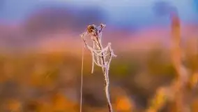 Październikowy wschód słońca, mgły i szron - zdjęcie 37