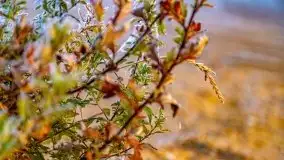 Październikowy wschód słońca, mgły i szron - zdjęcie 56