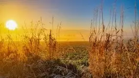 Październikowy wschód słońca, mgły i szron - zdjęcie 51