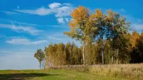 Początki mazurskiej złotej jesieni, październik 2021 r. - zdjęcie 12