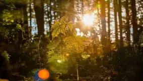 Początki mazurskiej złotej jesieni, październik 2021 r. - zdjęcie 7