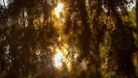 Zachód słońca nad jeziorem Krzywa Kuta - zdjęcie 5