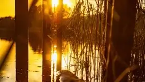 Zachód słońca nad jeziorem Krzywa Kuta - zdjęcie 19