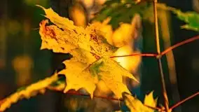 Zachód słońca nad jeziorem Krzywa Kuta - zdjęcie 21