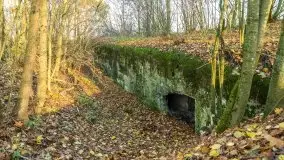 Mazury są pełne schronów i bunkrów z czasów I i II w.ś. - zdjęcie 33