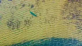 Jesienny Dargin pełen urokliwych kolorów - zdjęcie 11