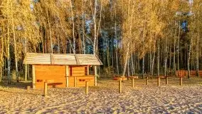 Jesienny Dargin pełen urokliwych kolorów - zdjęcie 35