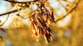 Jesienny Dargin pełen urokliwych kolorów - zdjęcie 41