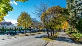 Mazurska złota jesień w Giżycku i okolicach - zdjęcie 5