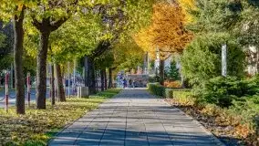 Mazurska złota jesień w Giżycku i okolicach - zdjęcie 11