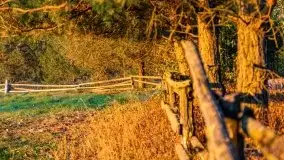 Zachód słońca nad jeziorem Kruklin, październik 2021 - zdjęcie 14