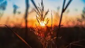 Zachód słońca nad jeziorem Kruklin, październik 2021 - zdjęcie 7