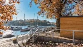 Jesień w Stanicy Wodnej Stranda - zdjęcie 1