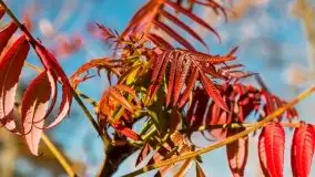 Jesienne klimaty w Pięknej Górze, jezioro Kisajno - zdjęcie 4