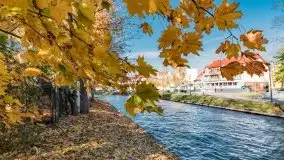 Kanał Łuczański w barwach jesieni, październik 2021 r. - zdjęcie 1