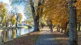 Kanał Łuczański w barwach jesieni, październik 2021 r. - zdjęcie 22