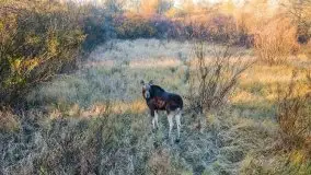 Wschód słońca nad jeziorem Kruklin, październik 2021 r. - zdjęcie 43