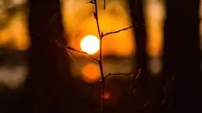 Wschód słońca nad jeziorem Kruklin, październik 2021 r. - zdjęcie 33