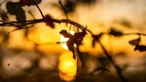 Wschód słońca nad jeziorem Kruklin, październik 2021 r. - zdjęcie 73