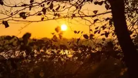 Wschód słońca nad jeziorem Kruklin, październik 2021 r. - zdjęcie 54