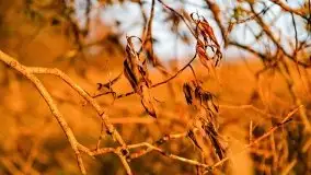 Wschód słońca nad jeziorem Kruklin, październik 2021 r. - zdjęcie 52