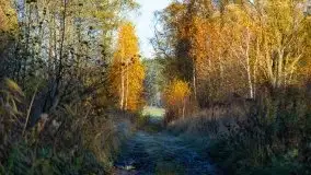 Wschód słońca nad jeziorem Kruklin, październik 2021 r. - zdjęcie 72