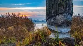 Wschód słońca nad jeziorami Niegocin i Grajewko w Bystrym - zdjęcie 4