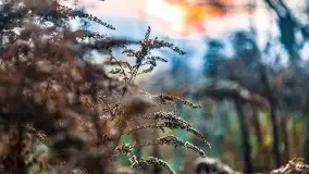 Wschód słońca nad jeziorami Niegocin i Grajewko w Bystrym - zdjęcie 21