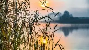 Wschód słońca nad jeziorami Niegocin i Grajewko w Bystrym - zdjęcie 51