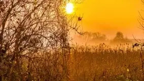 Wschód słońca nad jeziorami Niegocin i Grajewko w Bystrym - zdjęcie 45