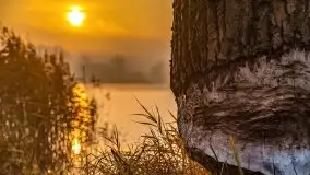 Wschód słońca nad jeziorami Niegocin i Grajewko w Bystrym - zdjęcie 41