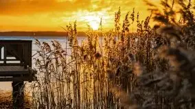 Wschód słońca nad jeziorem Święcajty, listopad 2021 r. - zdjęcie 4