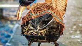 Fotorelacja z sprzątania dna w Ekomarinie Giżycko - zdjęcie 70