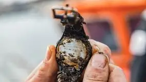 Fotorelacja z sprzątania dna w Ekomarinie Giżycko - zdjęcie 12